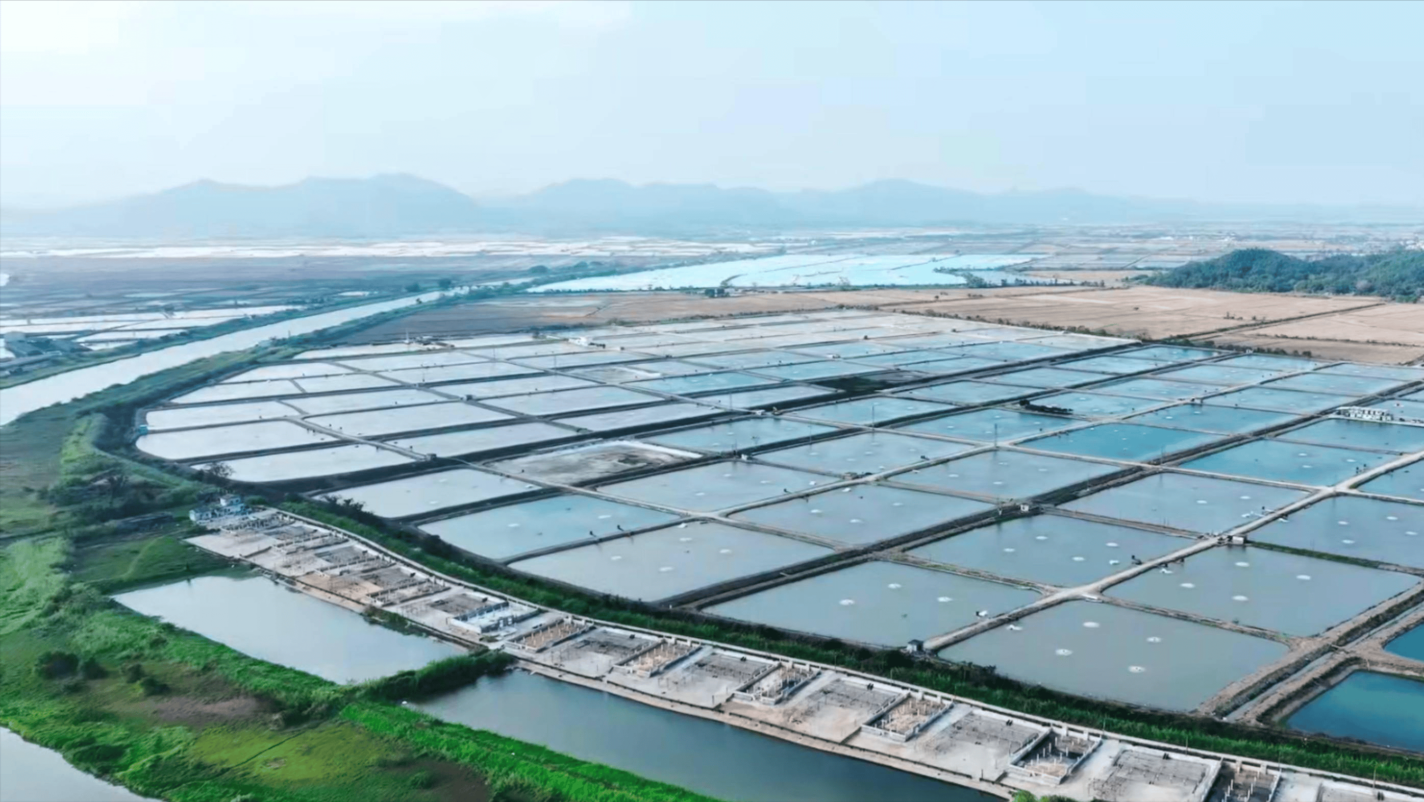 广东省脆鱼养殖基地，繁荣的水产养殖业的新星