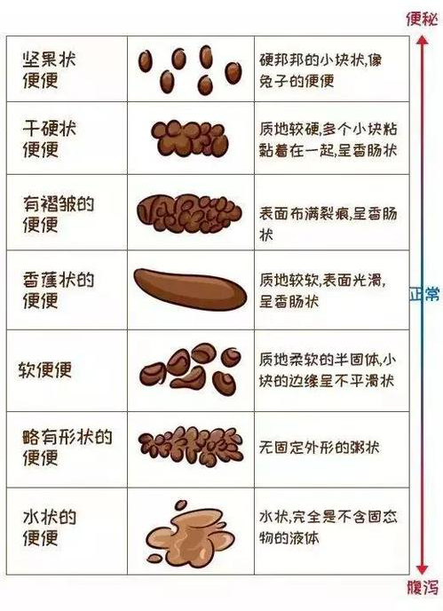 八个月宝宝每天的排便次数解析